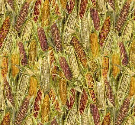 Harvest Packed Corn By Timeless Treasures