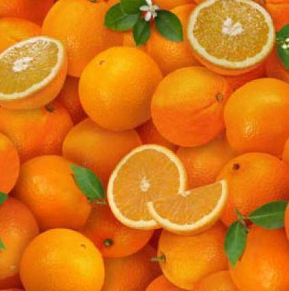 Oranges By  Food Festival From Elizabeth Studio