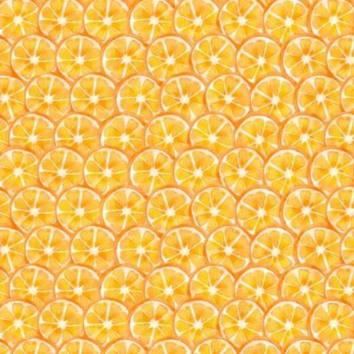 Squeeze The Day Citrus Slices Orange By Cynthia Coulter For Wilmington Prints