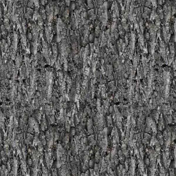 Spirit Animals Tree Texture Grey By Collin Bogle For P & B Textiles