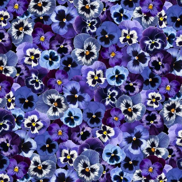 Pansy Paradise Packed Pansy Multi  By Timeless Treasures