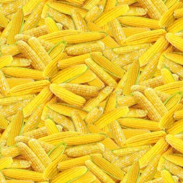 Fresh Veggies Corn Yellow By Timeless Treasures