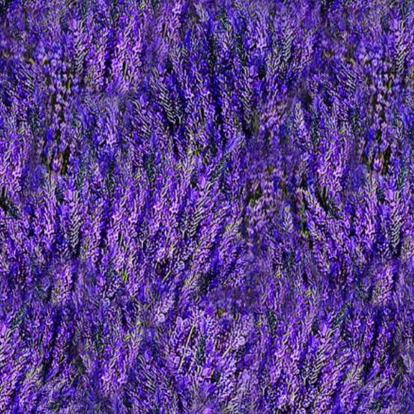 Lavender Grosso Purple by Timeless Treasures