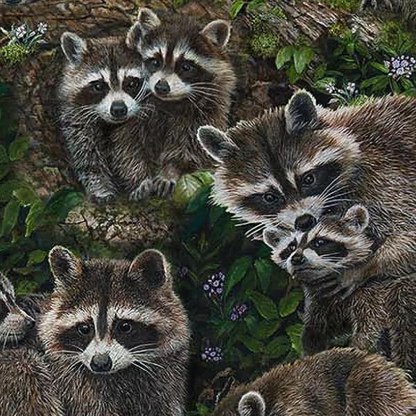 Little Rascals Raccoons Multi by Karla Mann for Northcott Fabrics