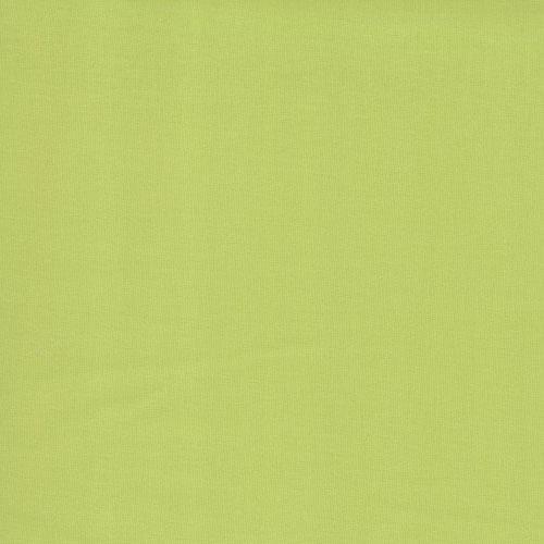 Bella Solids Pistachio From Moda