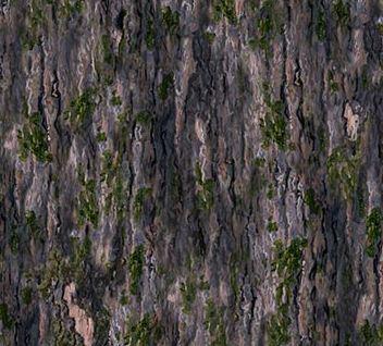 [NOR-23108] Day Dreams Naturescapes Tree Bark from Northcott Fabrics