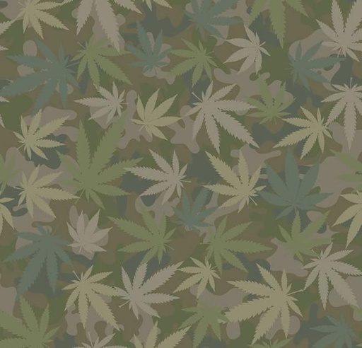 [DS-1725-grass] Incongnito Cannabis Camo From Dear Stella