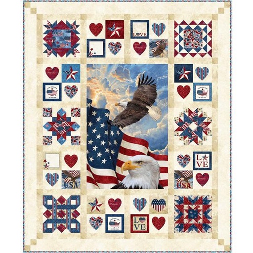 [NOR-P2873] For The Brave Quilt Pattern By Patty Carey For Patti'S Patchwork