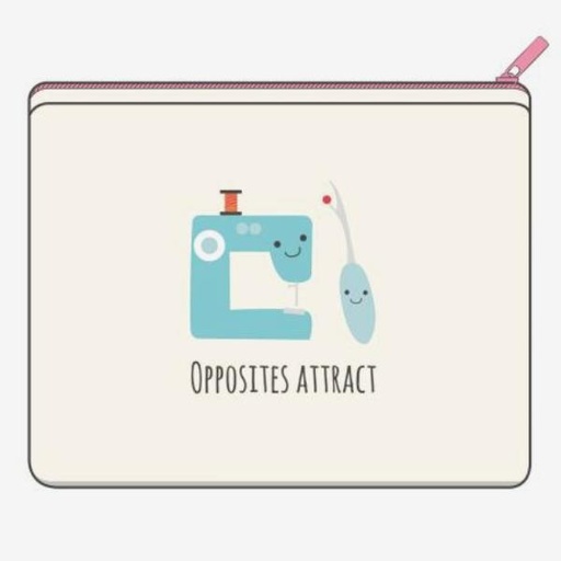 [ZB-14824] Opposites Attract Canvas Small Zipper Bag From Riley Blake