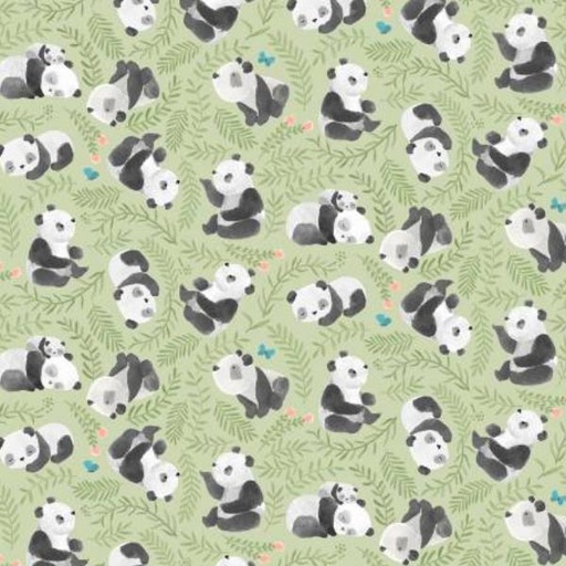 [DS-2167-CEL] Panda-Monium Bearly Awake Celery By Dear Stella