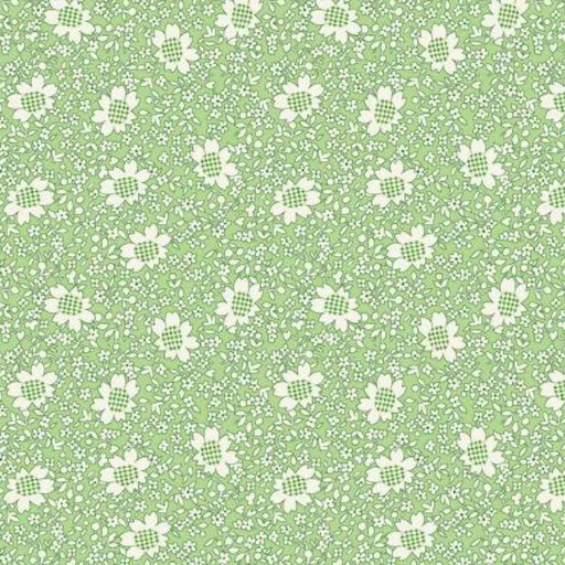 [WF-53205-8] Storybook 22 Gingham Flower Green By Mykt Collection For Windham Fabrics