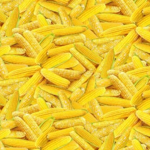 [TTR-1985-YELL] Fresh Veggies Corn Yellow By Timeless Treasures