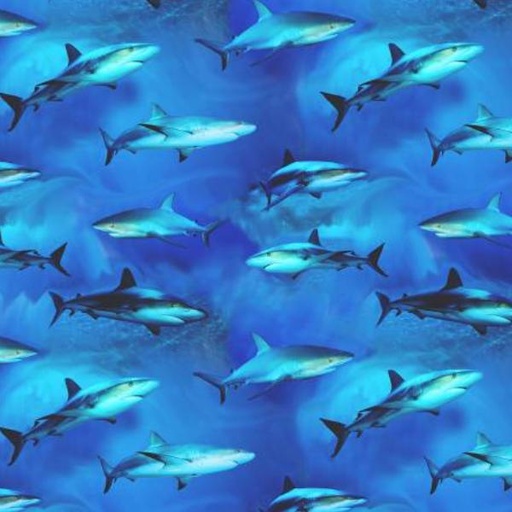 [TTR-1978-BLUE] Swimming Sharks Blue By Michael Searle For Timeless Treasures