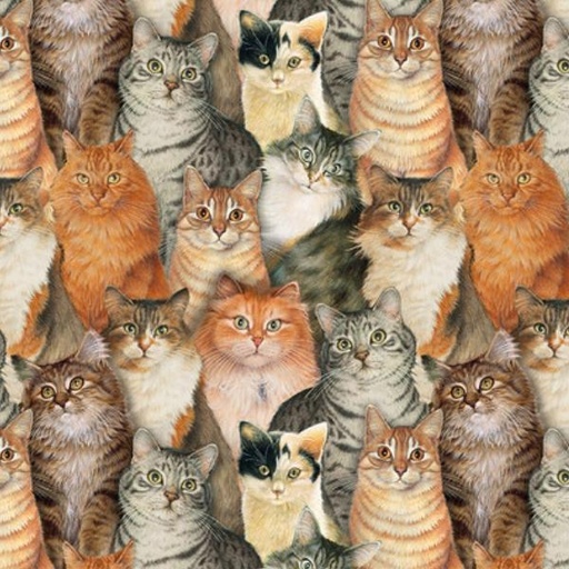 [BLAN-2972-90] Sophisticats Animals Cat Collage Grey By Leslie Anne Ivory For Blank Quilting