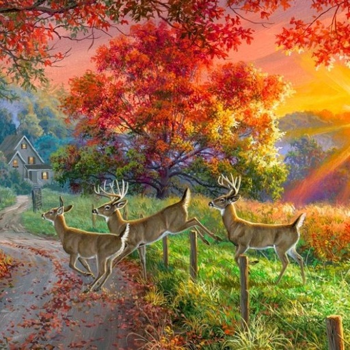 [JT-20731-PNL] Through The Forest Light Country Whitetails