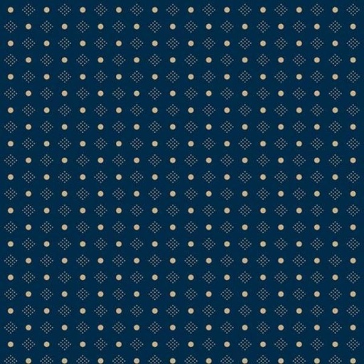 [MB-R220703-NAVY] Seaside Sandbox Navy By Paula Barnes For Marcus Fabrics