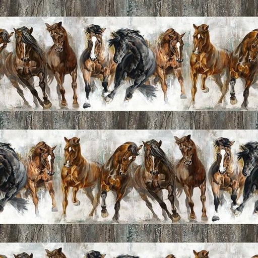 [NOR-26811-92] Stallion Border Stripe By Elise Genest For Northcott 