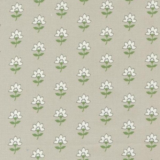 [MOD-55301-16] Shoreline Coastal Florals Grey By Camille Roskelley For Moda Fabrics