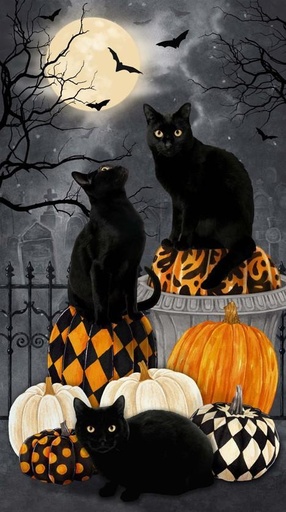 [NOR-27080P-99] Hallow'S Eve Black Cat Panel By Cerrito Creek Studio For Northcott Fabrics 