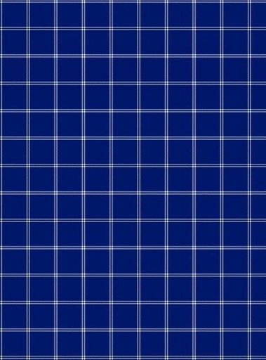 [SEF-T2-77] Blue Plaid Hand Towel From Studio E Fabrics